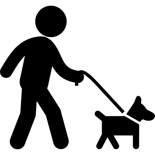 Zwierzęta